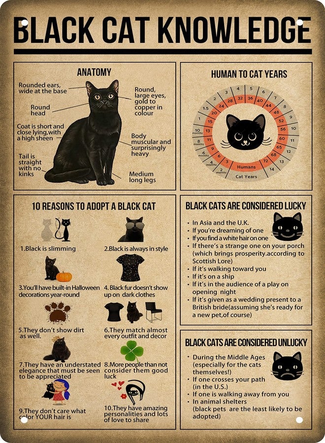 CSWLJS Funny Black Cat Knowledge Quote Poster Vintage Metal Signs for Bedroom Family Signs For Home Decor Wall Man Cave Sign Garage Signs Cat Lovers Gift 8 X 12 in - Image 1