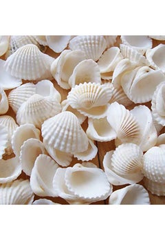 Small Tiny Sea Shells White Clam Bulk Natural Seashell for DIY Craft Home Decor Vase Fillers, 100Pcs