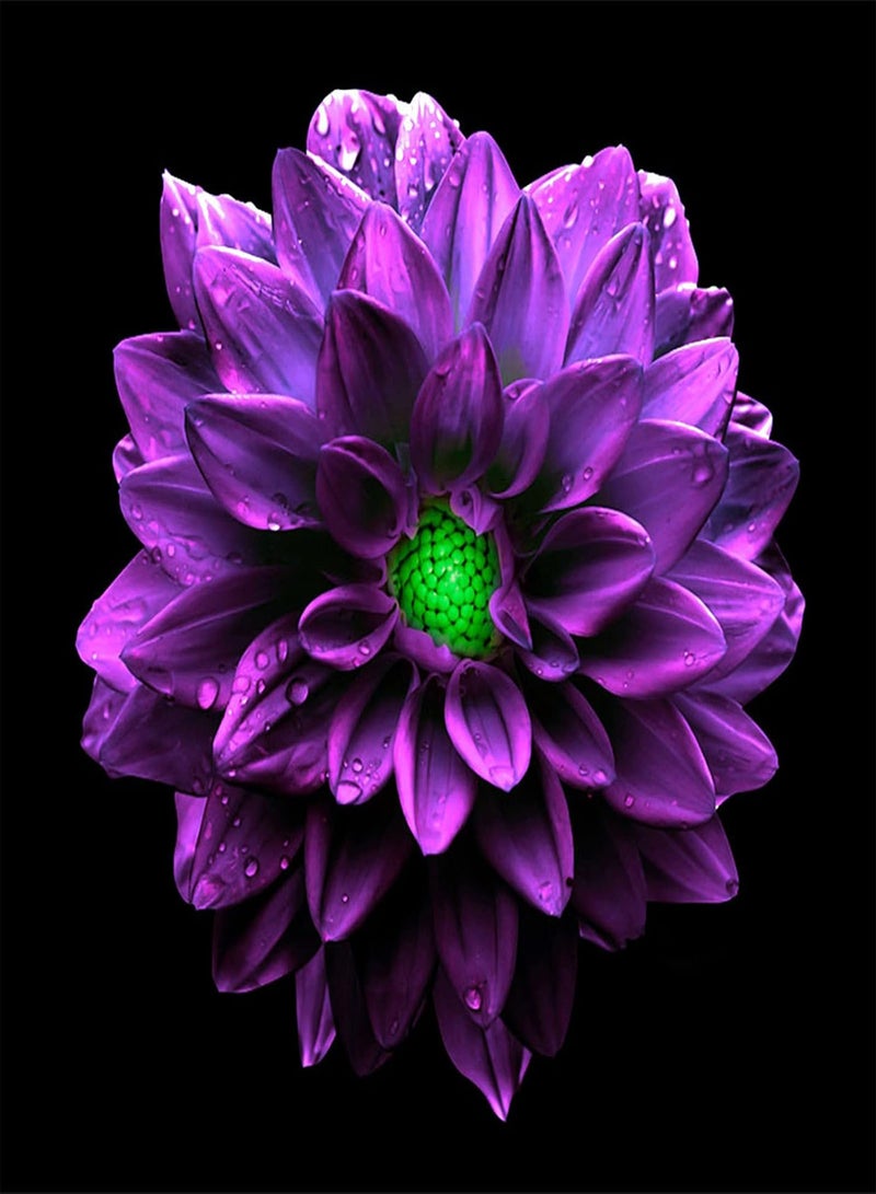 GGOOT Dahlia Seeds/Strong Cold Resistance/Giant Flower Seeds/Unique Flower Seeds/Bloom The Flowers You want-200 Pcs,C - Image 1