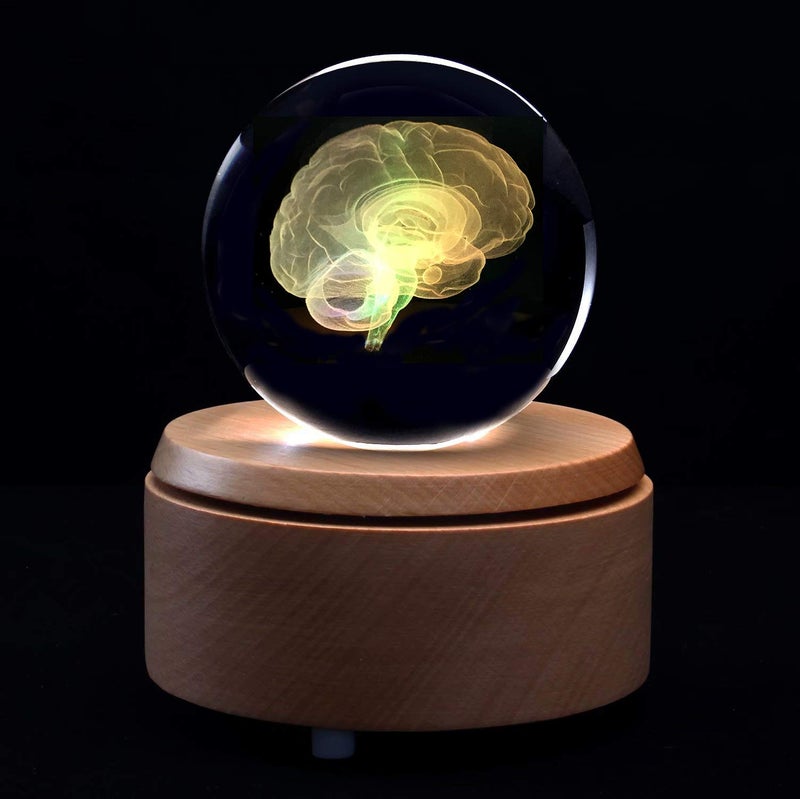 XINDAM 3D Human Brain Anatomical Model Paperweight(Laser Etched) in Crystal Glass Ball Science Gift (Included LED Base) - Image 4