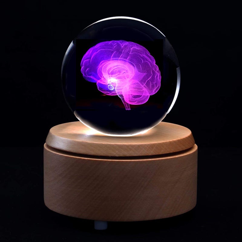 XINDAM 3D Human Brain Anatomical Model Paperweight(Laser Etched) in Crystal Glass Ball Science Gift (Included LED Base) - Image 2