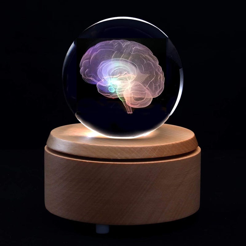 XINDAM 3D Human Brain Anatomical Model Paperweight(Laser Etched) in Crystal Glass Ball Science Gift (Included LED Base) - Image 3