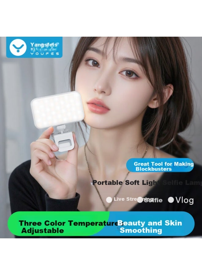 Youfes Yangfeisi Fill Light, Portable Handheld Selfie Beauty Light For Mobile Phone Shooting Camera Photography, Outdoor Photography, Tofu Light, Pocket Light - Image 1