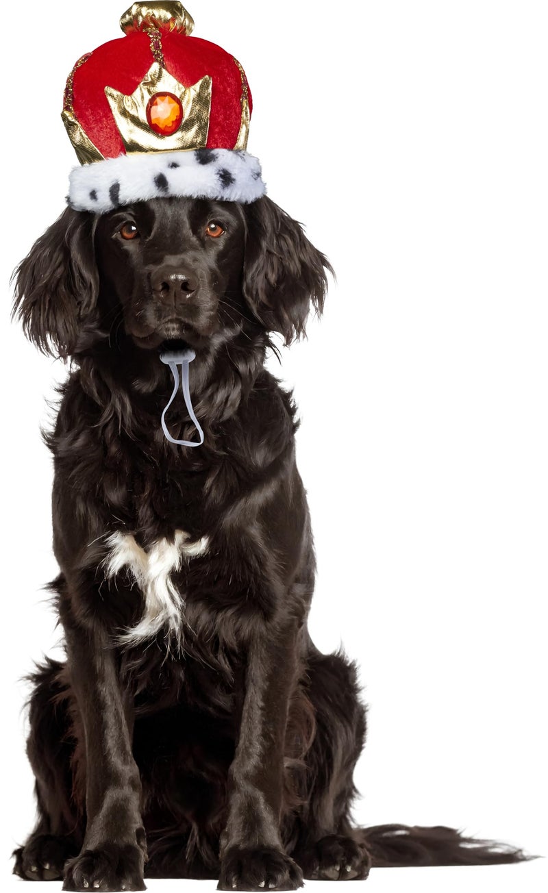 Rubies King Pet Crown for Dogs or Cats ML - Image 2