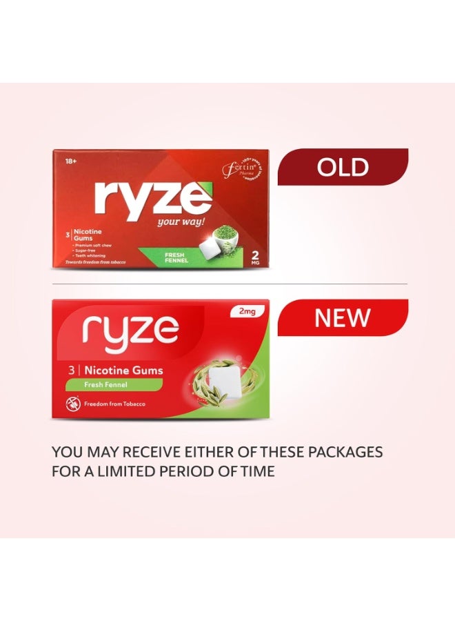 رايز علكة رايز للنيكوتين | بنكهة الشمر الطازج | ٢ ملغ | تساعد على الإقلاع عن التدخين ومضغ التبغ | علكة طرية | ٣ علكات في كل عبوة × ٣٠ - Image 3