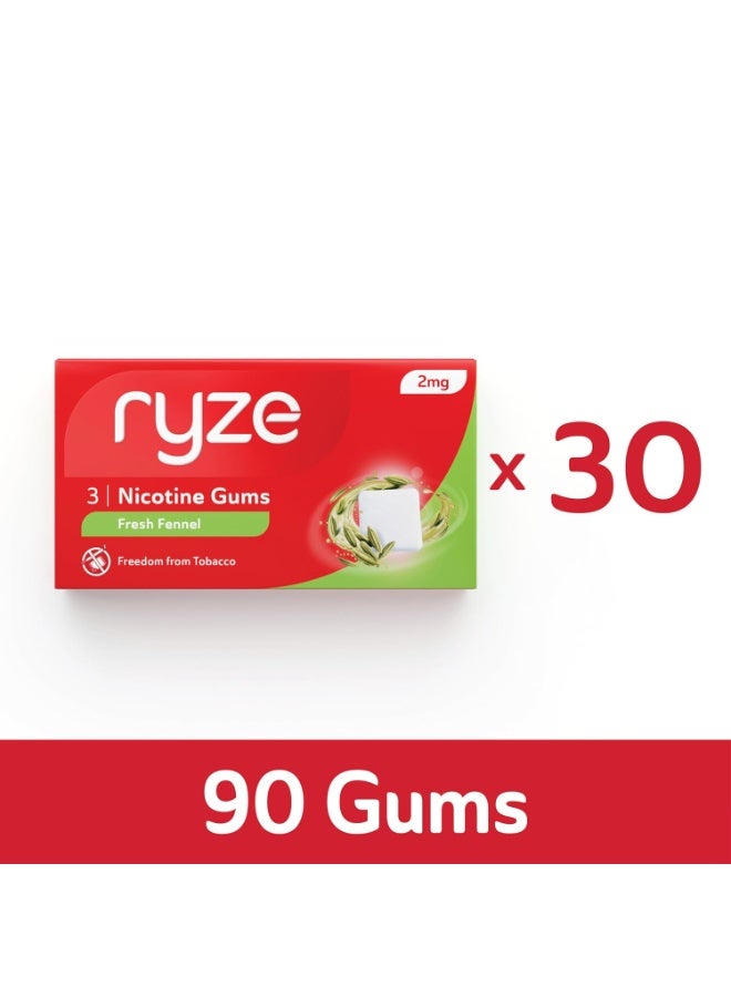 رايز علكة رايز للنيكوتين | بنكهة الشمر الطازج | ٢ ملغ | تساعد على الإقلاع عن التدخين ومضغ التبغ | علكة طرية | ٣ علكات في كل عبوة × ٣٠ - Image 4