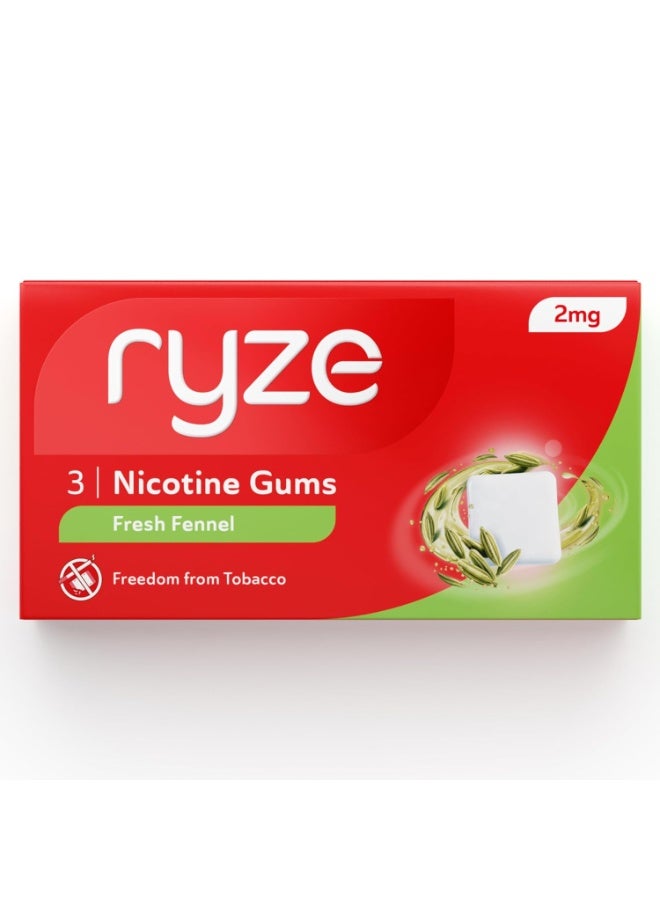 رايز علكة رايز للنيكوتين | بنكهة الشمر الطازج | ٢ ملغ | تساعد على الإقلاع عن التدخين ومضغ التبغ | علكة طرية | ٣ علكات في كل عبوة × ٣٠ - Image 1