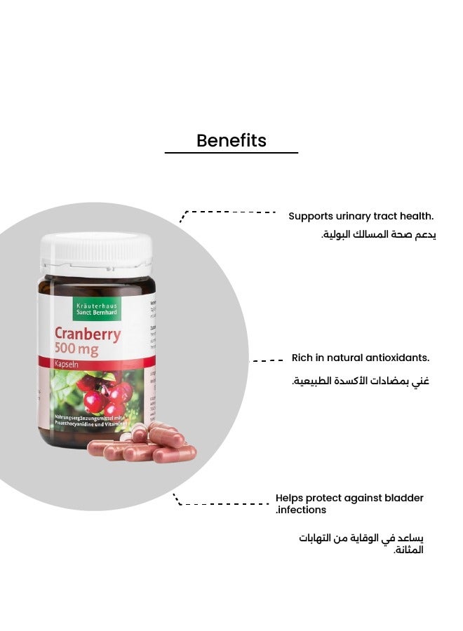 سانت برنارد كبسولات التوت البري 500 ملغ - Image 3