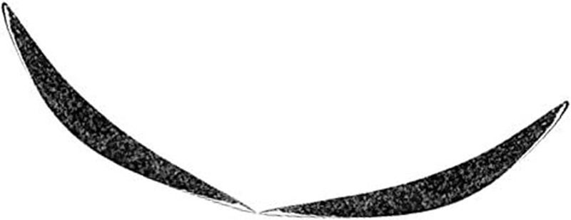 Yurefax Headlight Accent Cover for Infiniti Q50 - Image 1