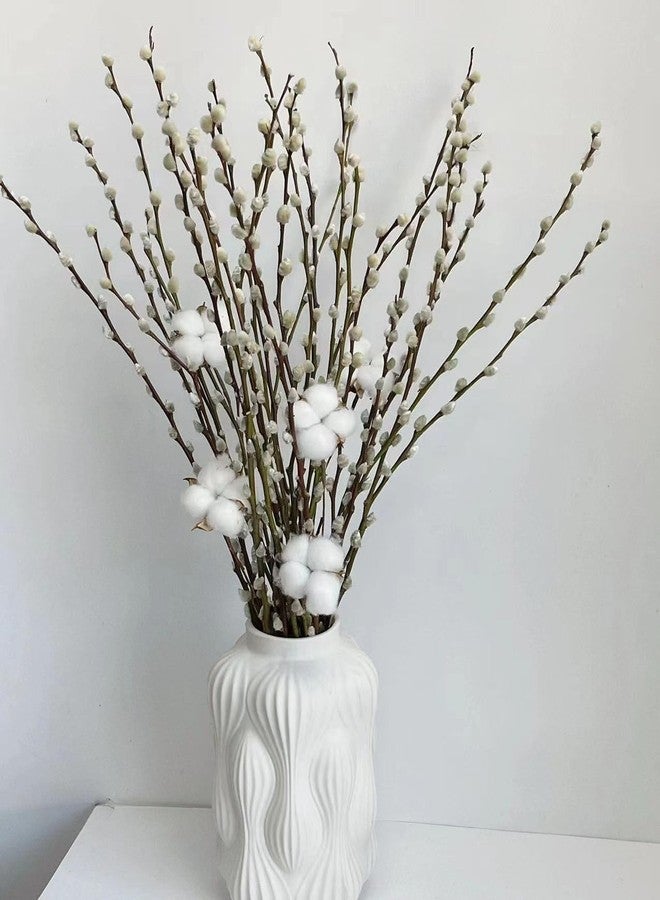 WAIFOMEI 20PCS Real Dried PussyWillow Branches Tall 27 Inches Natural Decorative Branches with White Buds Long Birch Stems for Vase Spring Easter Home Decor - Image 2
