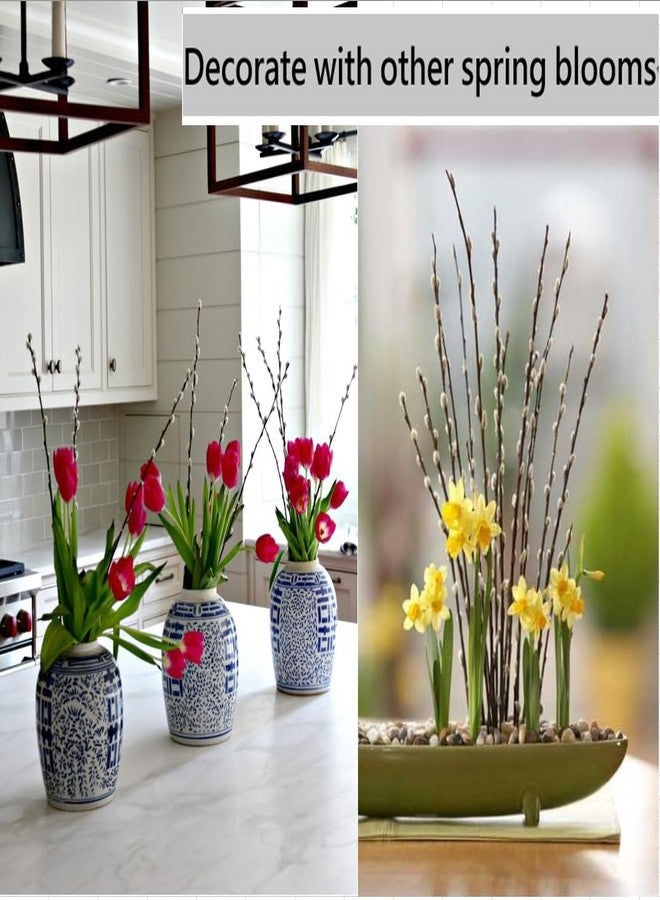 WAIFOMEI 20PCS Real Dried PussyWillow Branches Tall 27 Inches Natural Decorative Branches with White Buds Long Birch Stems for Vase Spring Easter Home Decor - Image 4