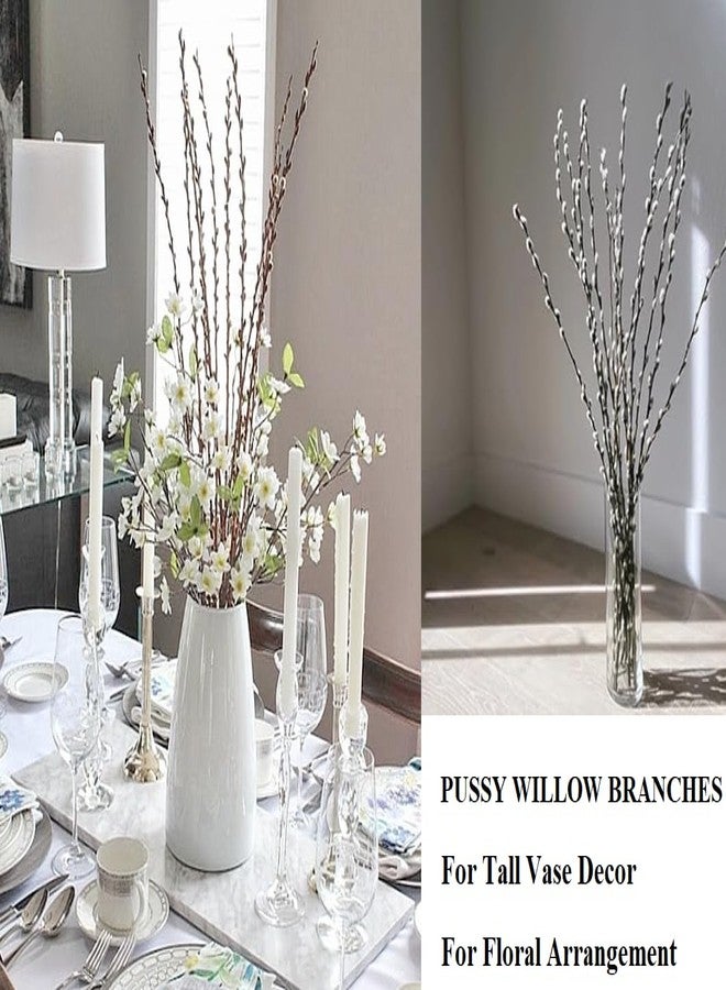 WAIFOMEI 20PCS Real Dried PussyWillow Branches Tall 27 Inches Natural Decorative Branches with White Buds Long Birch Stems for Vase Spring Easter Home Decor - Image 5