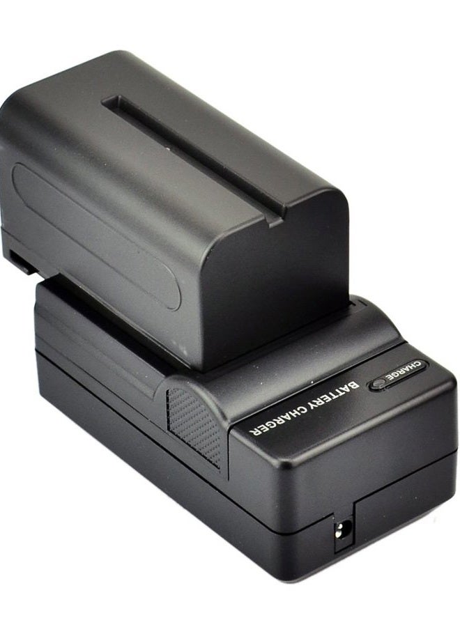 DSTE Replacement for 2X NP-F750 Battery + DC01 Travel and Car Charger Adapter Compatible Sony CCD-TRV215 CCD-TR917 TR315 HDR-FX1000 HDR-FX7 HVR-V1U HVR-Z7U HVR-Z5U Camera as NP-F730 NP-F770 - Image 4