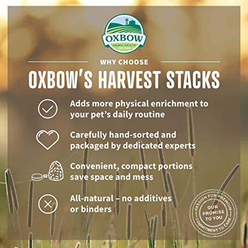 Oxbow Harvest Stacks, Western Timothy Hay with Chamomile, Guinea Pig Hay, Small Pet Bunny Supplies, Western Timothy for Rabbits, Guinea Pigs, Chinchillas, Hamsters & Gerbils, 35 oz. - Image 3