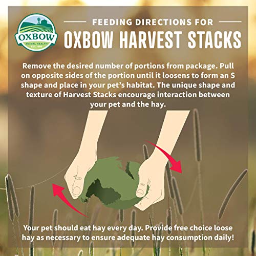 Oxbow Harvest Stacks, Western Timothy Hay with Chamomile, Guinea Pig Hay, Small Pet Bunny Supplies, Western Timothy for Rabbits, Guinea Pigs, Chinchillas, Hamsters & Gerbils, 35 oz. - Image 4