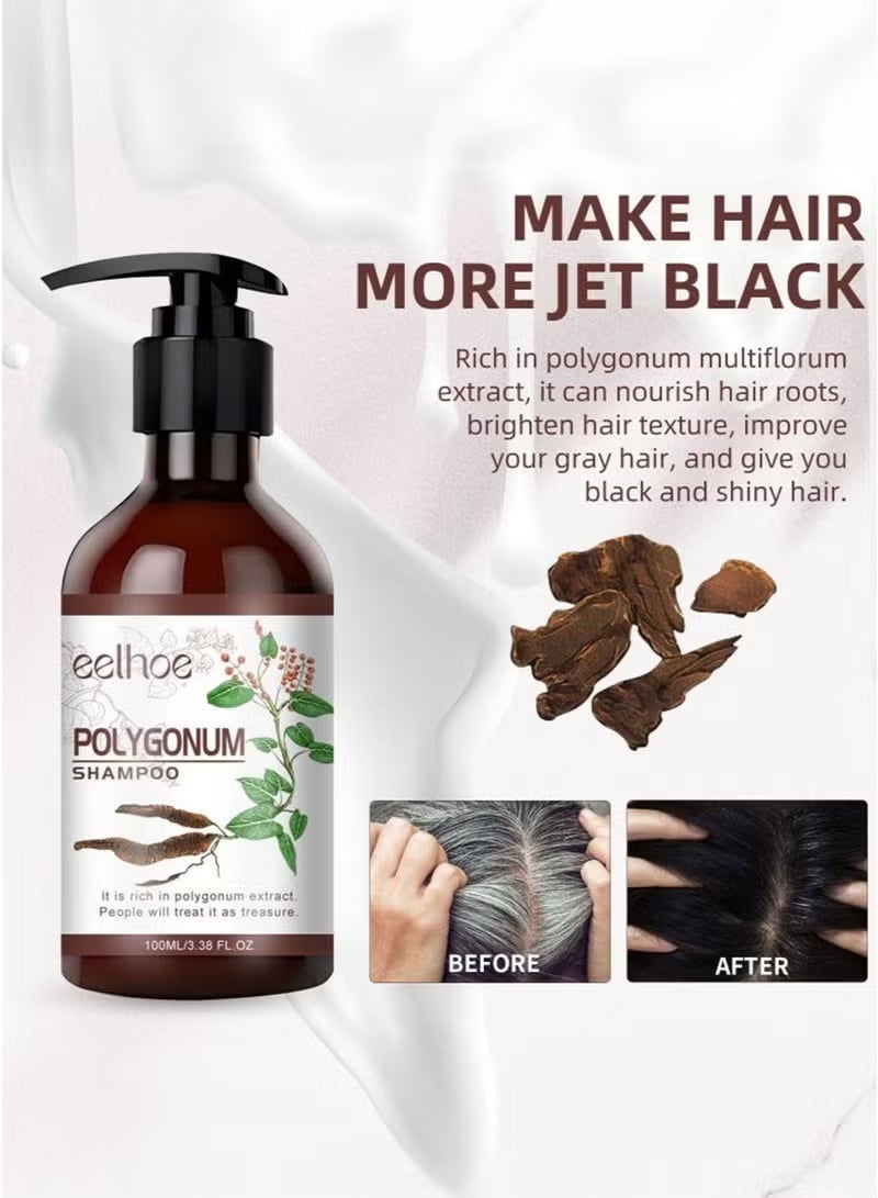 EELHOE He Shou Wu Hair Shampoo 100ml – Natural Herbal Hair Cleansing & Nourishing Shampoo with Ginseng and Ginger Root Oil for Stronger, Healthier Hair - Image 1