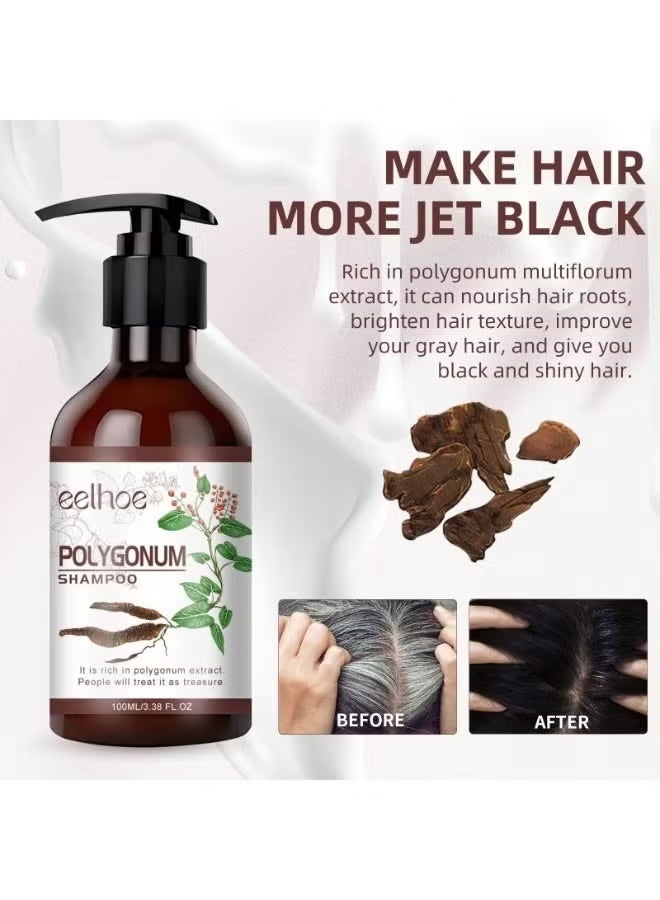 EELHOE He Shou Wu Hair Shampoo 100ml – Natural Herbal Hair Cleansing & Nourishing Shampoo with Ginseng and Ginger Root Oil for Stronger, Healthier Hair - Image 2