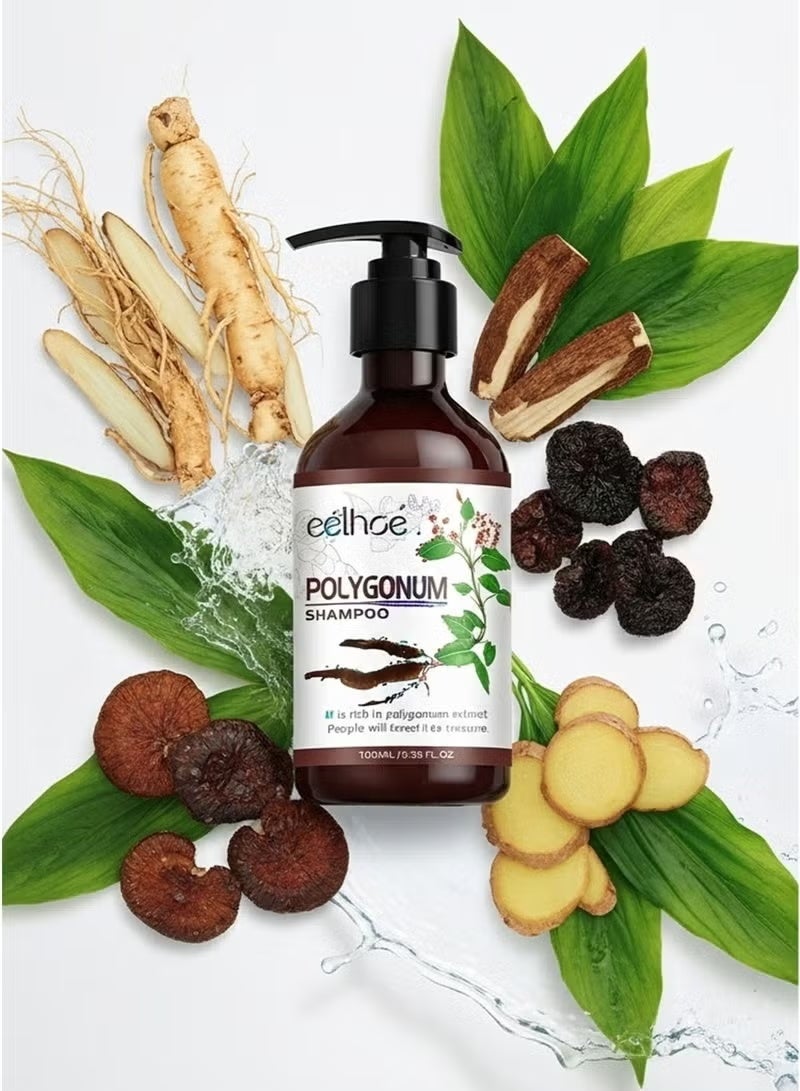 EELHOE He Shou Wu Hair Shampoo 100ml – Natural Herbal Hair Cleansing & Nourishing Shampoo with Ginseng and Ginger Root Oil for Stronger, Healthier Hair - Image 4