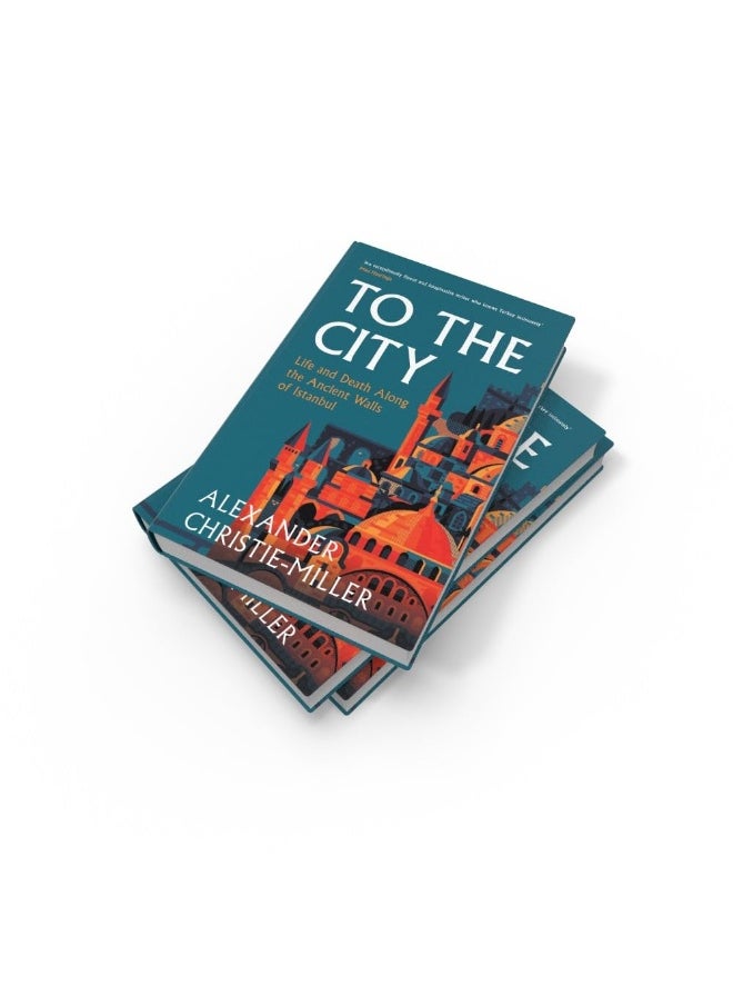 To The City: Life and Death Along the Ancient Walls of Istanbul  - Image 3