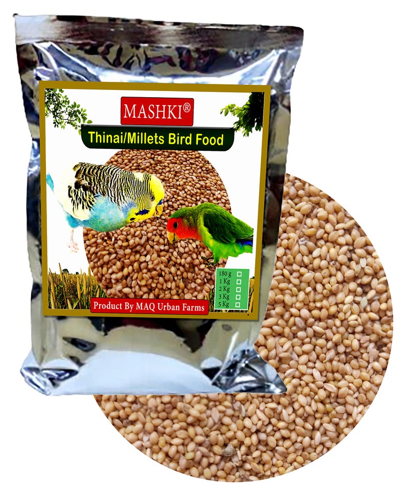 MASHKI Thinai Kangni Seed Double Cleaned Korra, Rala, Thina, Kang, Kaon Seeds Foxtail Millet koni dhaan, navane Nutrition Bird Food for All Birds - 180Gm - Image 1