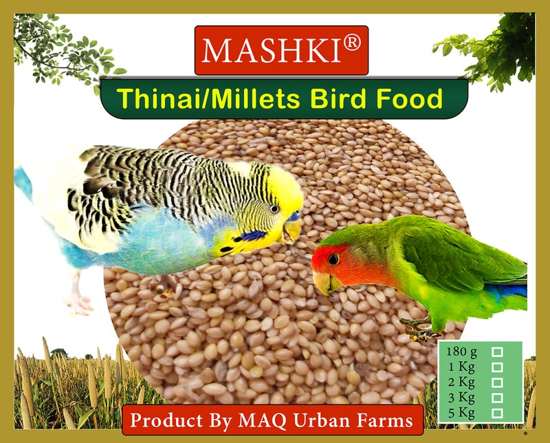 MASHKI Thinai Kangni Seed Double Cleaned Korra, Rala, Thina, Kang, Kaon Seeds Foxtail Millet koni dhaan, navane Nutrition Bird Food for All Birds - 180Gm - Image 2