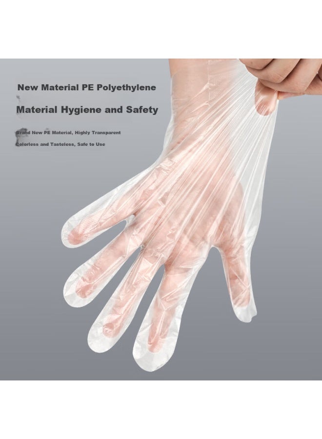 Intco Disposable Pe Gloves Large 300 Count Food Grade For Catering Household Cleaning Lobster Waterproof Inspection Gloves - Image 5