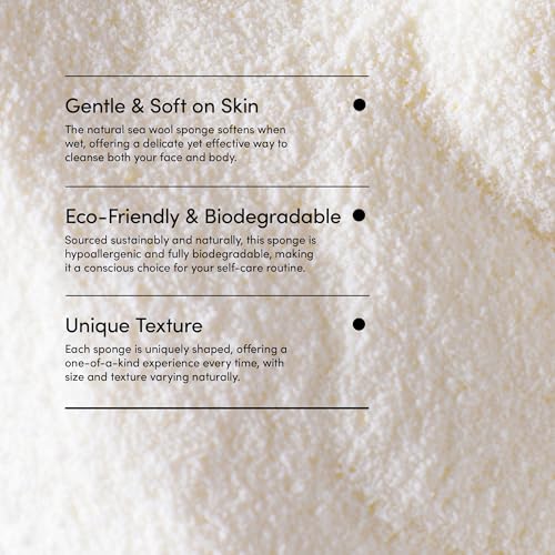 LATHER - Natural Sea Wool Sponge, 5-6" - Organic Exfoliating Body Scrubber - Soft, Gentle Cleansing - Hypoallergenic - All Skin Types - Florida Natural Loofah Sponge - Cruelty Free - Beauty & Skincare - Image 5