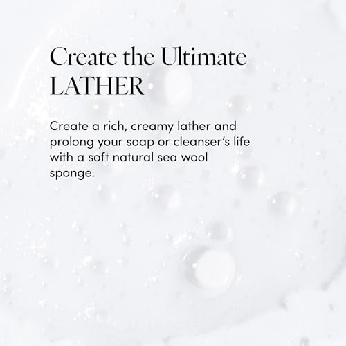 LATHER - Natural Sea Wool Sponge, 5-6" - Organic Exfoliating Body Scrubber - Soft, Gentle Cleansing - Hypoallergenic - All Skin Types - Florida Natural Loofah Sponge - Cruelty Free - Beauty & Skincare - Image 4