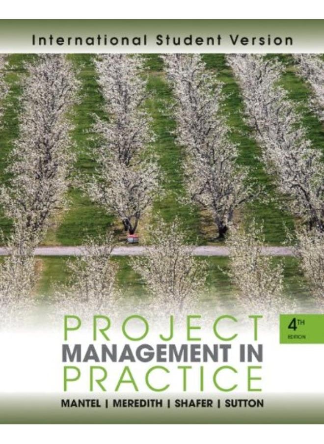 null - Project Management in Practice - Image 1