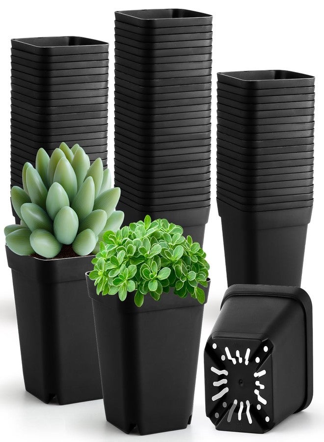 RooTrimmer 2.7 Inch Square Nursery Pots with Humidity Dome, 60 Packs Clear Seedling Pots with Drainage Holes, Reusable Propagation Pots Small Plant Container for Indoor Outdoor Gardening - Image 1