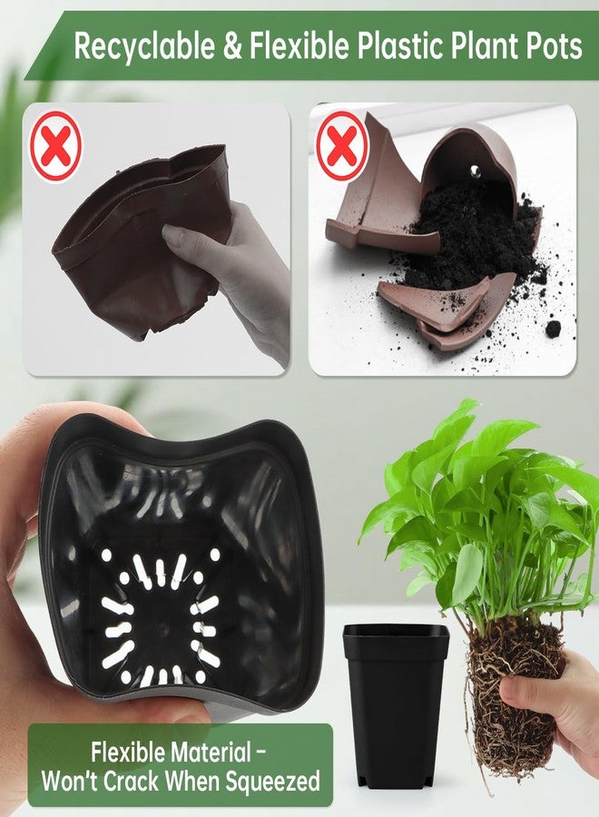 RooTrimmer 2.7 Inch Square Nursery Pots with Humidity Dome, 60 Packs Clear Seedling Pots with Drainage Holes, Reusable Propagation Pots Small Plant Container for Indoor Outdoor Gardening - Image 3