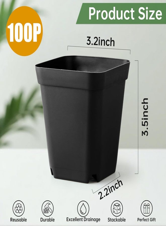 RooTrimmer 2.7 Inch Square Nursery Pots with Humidity Dome, 60 Packs Clear Seedling Pots with Drainage Holes, Reusable Propagation Pots Small Plant Container for Indoor Outdoor Gardening - Image 4