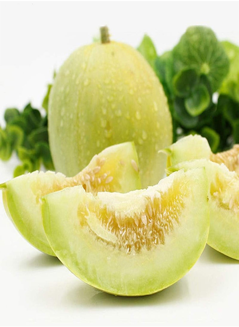 GGOOT - Muskmelon Seeds 150pcs - Image 1
