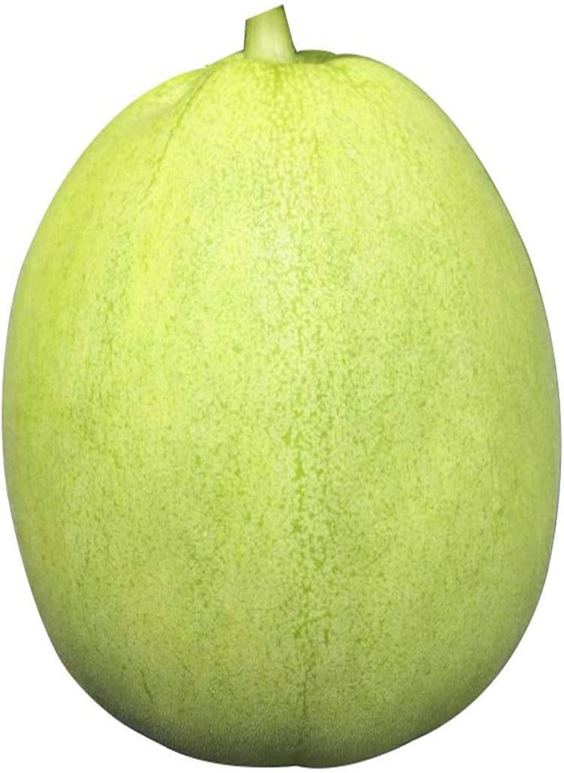 GGOOT - Muskmelon Seeds 150pcs - Image 1