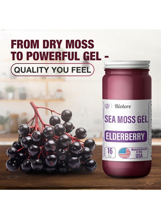 جل الطحالب البحرية من بيولور - توت العليق البري 16 أونصة، طحالب بحرية أيرلندية برية مع فيتامينات أساسية ومعادن نادرة، غذاء نباتي فائق الجودة، صنع في الولايات المتحدة الأمريكية - Image 3