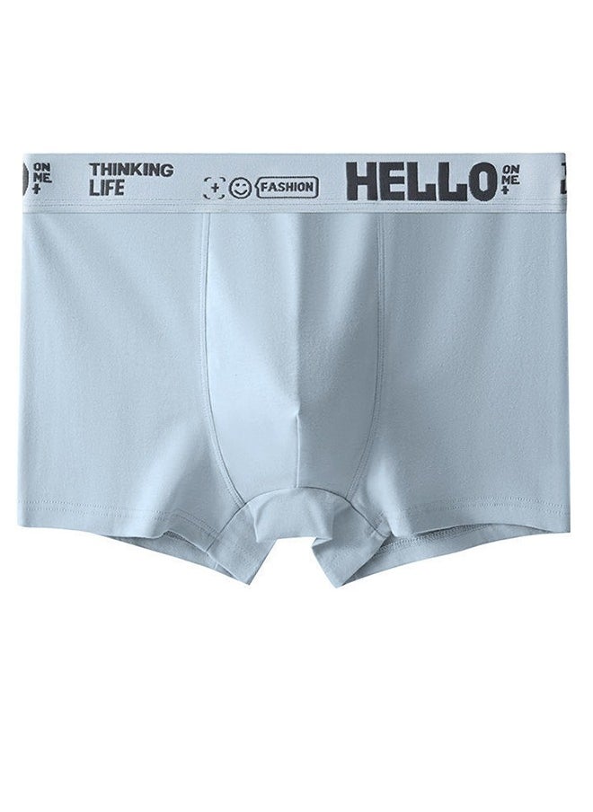 Boxer - Men's Underwear, Soft And Comfortable Cotton Underwear, Breathable Antibacterial Boxer Briefs L - Image 1