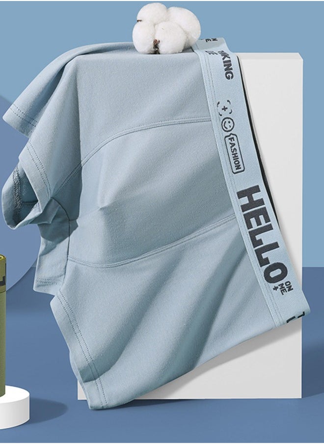 Boxer - Men's Underwear, Soft And Comfortable Cotton Underwear, Breathable Antibacterial Boxer Briefs L - Image 1
