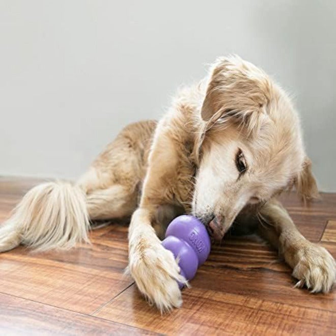 KONG Senior - Dog Toy with Gentle, Natural Rubber - Durable Dog Toy for Older Dogs - Use Treats with Stuffable Chew Toy - Treat Toy for Chewing & Fetching - for Medium Dogs (Pack of 2) - Image 2
