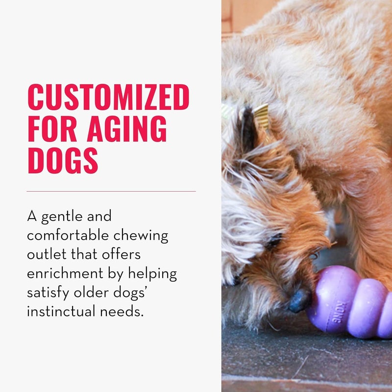 KONG Senior - Dog Toy with Gentle, Natural Rubber - Durable Dog Toy for Older Dogs - Use Treats with Stuffable Chew Toy - Treat Toy for Chewing & Fetching - for Medium Dogs (Pack of 2) - Image 3