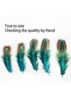 Excefore 100 pcs Natural Pheasant Plumage Feathers 2-4 Inches Plumage Feathers  - Image 3