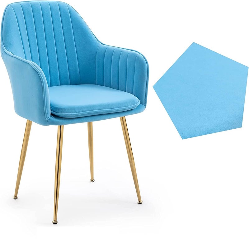 Finch Fox Finch Fox Ambar Upholestery Velvet Armchair with Armrest Backrest Upholstered Seat Dining Living Room Chair with Golden Legs Base Light Blue Color