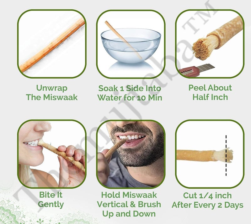 TheMujtaba Miswak Stick Natural Teeth Whitening Set - Muslim Natural Flavored Toothbrush Miswak Sticks with Holder for Healthy Gums, Teeth & Fresher Breath(Pack of 12 - Image 3