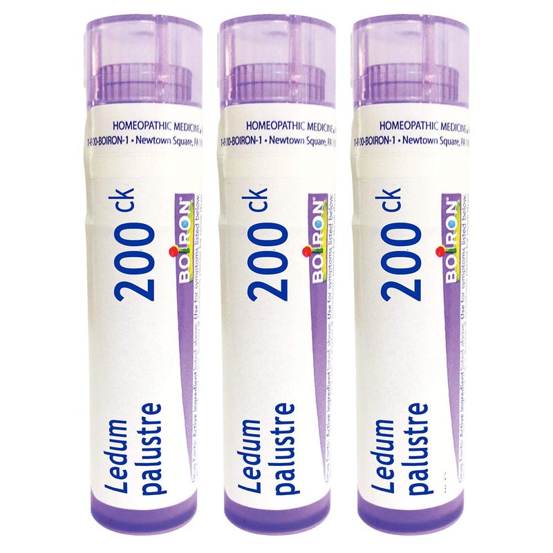 Boiron Ledum Palustre 200Ck Homeopathic Medicine for Insect Bites or Bruising - Pack of 3 (240 Pellets) - Image 1