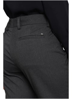 Allen Solly Allen Solly Women's Regular Casual Pants (AHTFCRGF294882_Grey_34)  - Image 4
