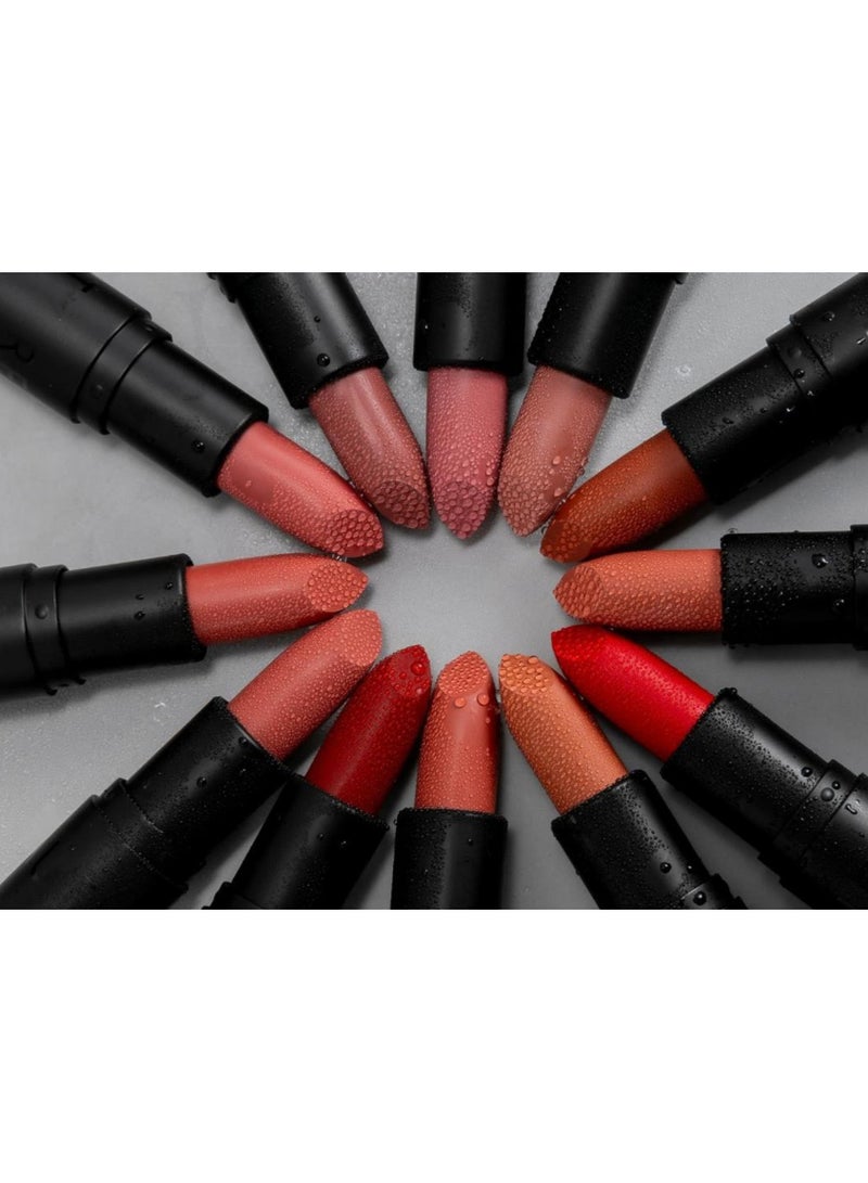 12 Colors Long-Lasting Multi-Color Lipstick Set - Image 2