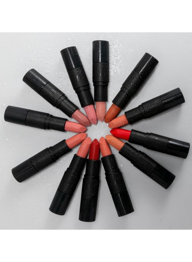 12 Colors Long-Lasting Multi-Color Lipstick Set - Image 3