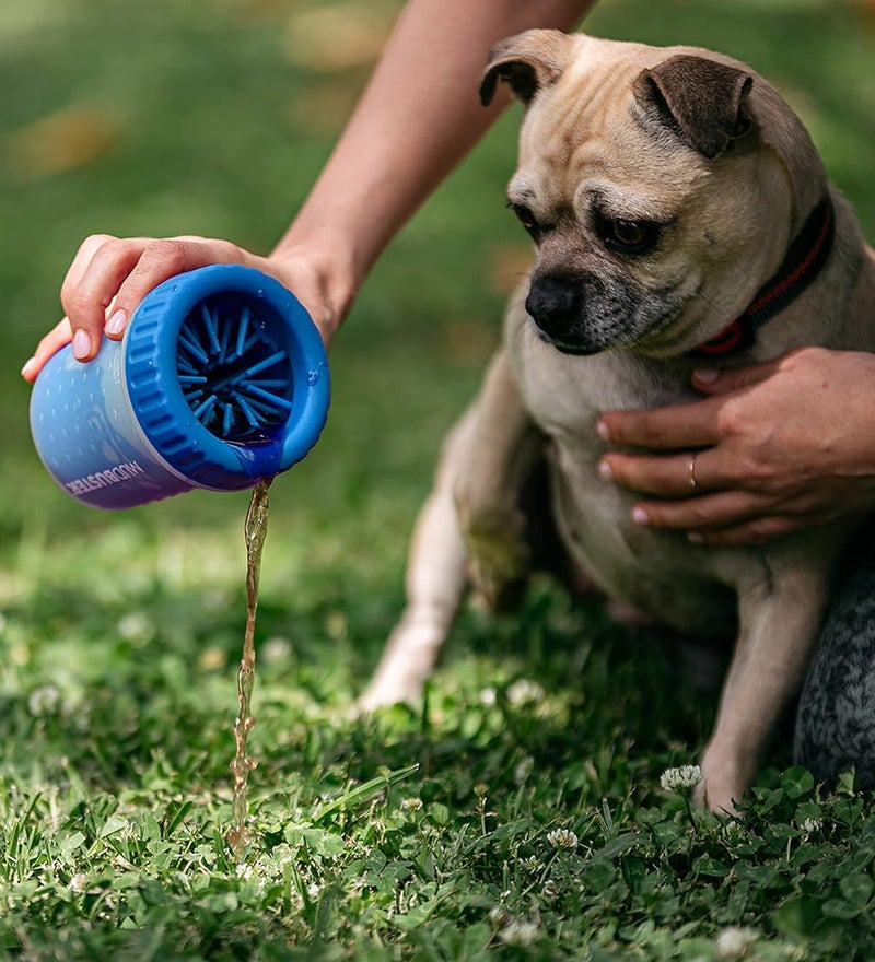 Dexas MudBuster Portable Dog Paw Washer/Paw Cleaner, Small, Pro Blue - Image 5