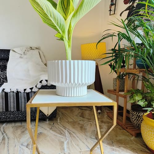Niyara White line Design Stylish Large Ceramic Pot Planters for Indoor Plants,Outdoor,Balcony,Home,Garden.Size-8 Inches (Phoenix) - Image 2