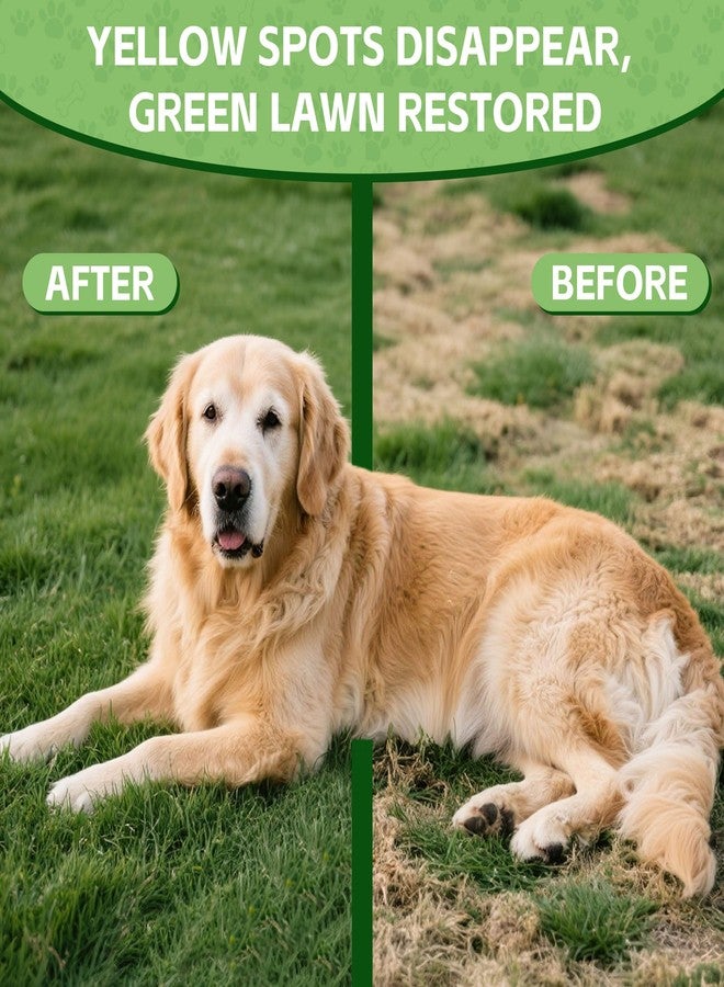 VivaElixir Dog Urine Neutralizer for Lawn -Methionine, Probiotics & Enzymes- - Helps Reduce Lawn Burn from Dog Urine, Supports Digestive and Urinary Health -Veterinarian Recommended- 60ml - Image 5