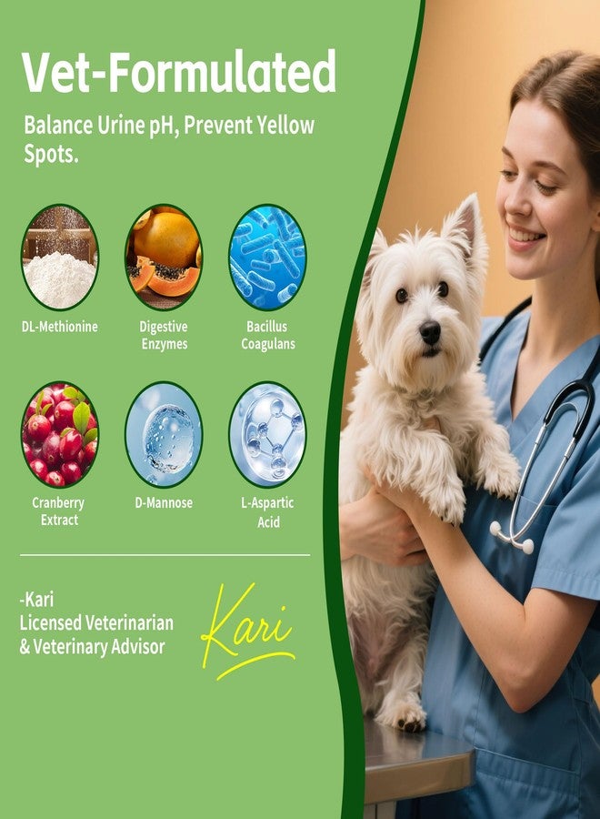 VivaElixir Dog Urine Neutralizer for Lawn -Methionine, Probiotics & Enzymes- - Helps Reduce Lawn Burn from Dog Urine, Supports Digestive and Urinary Health -Veterinarian Recommended- 60ml - Image 3